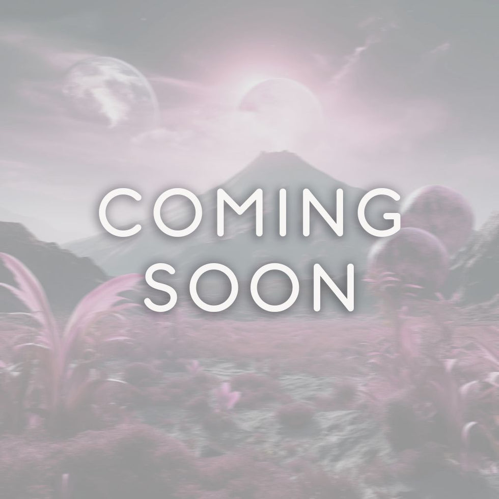 Shop Classic Shapewear Bodysuits Online Slim & Stylish